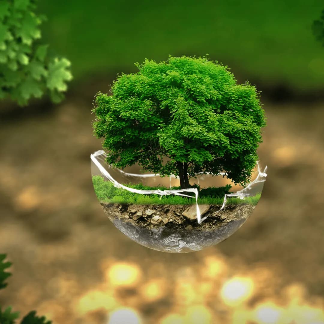 Sustainable consumption that minimizes impacts on the environment