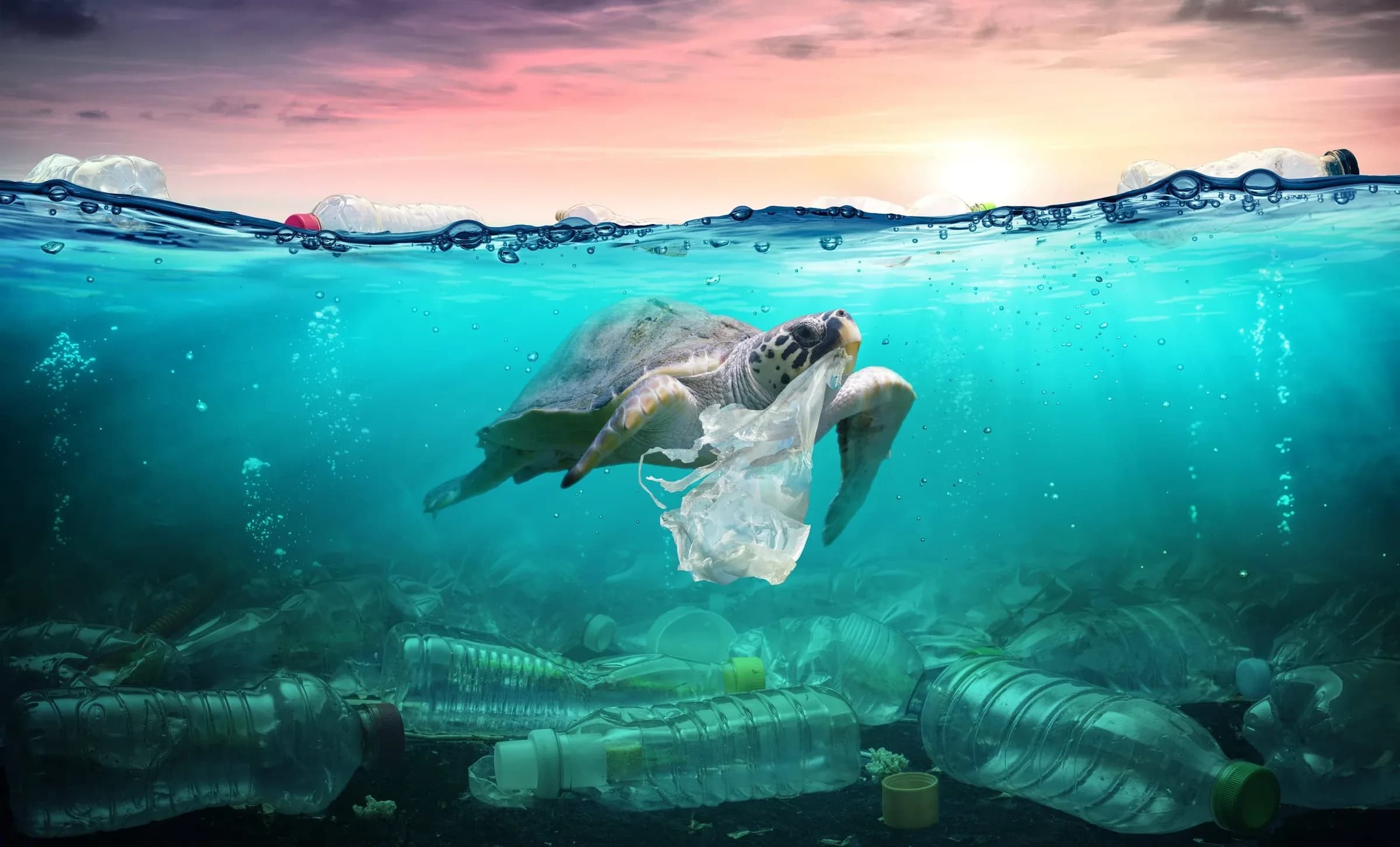 A sea turtle swimming among plastic waste in the ocean